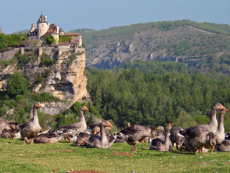 Dordogne