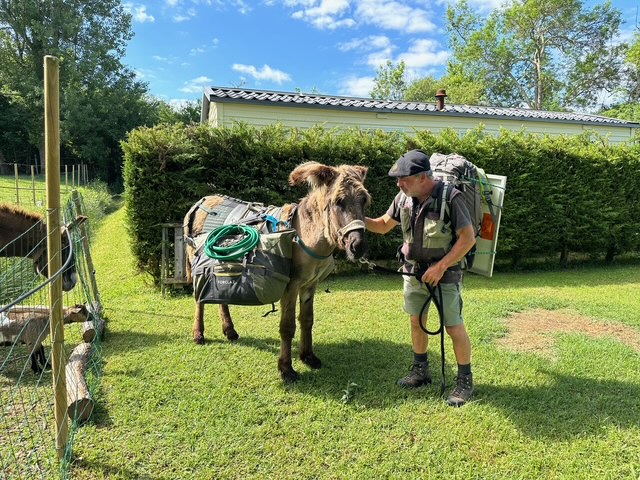 june 2024 fabrice et ses anes (16)