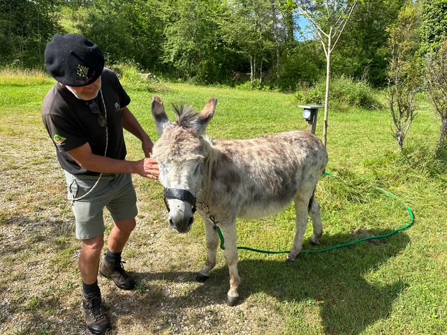 june 2024 fabrice et ses anes (6)