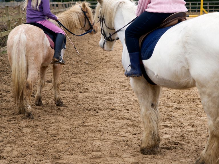 poney club dordogne