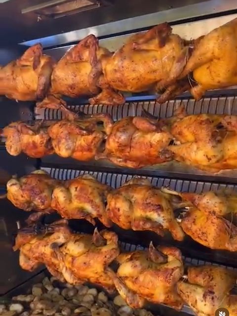 chickens 1