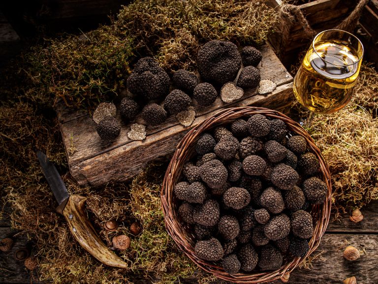truffe noire